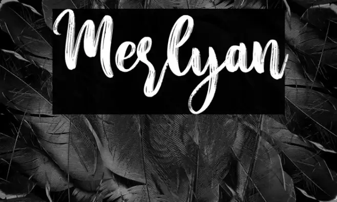 Merlyan Example 2