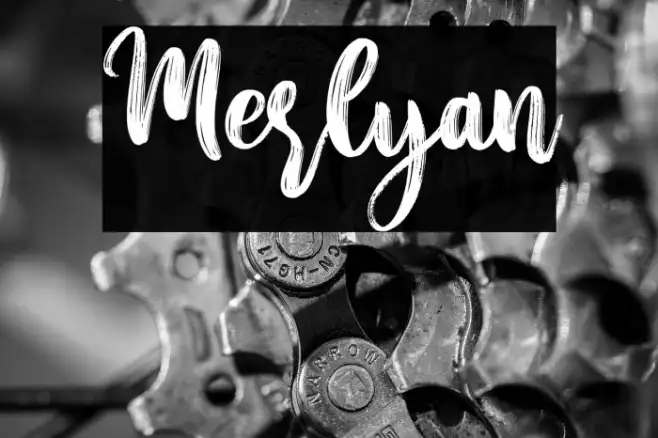 Merlyan Example 3