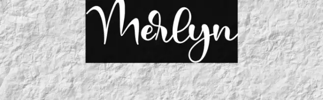 Merlyn Example 1