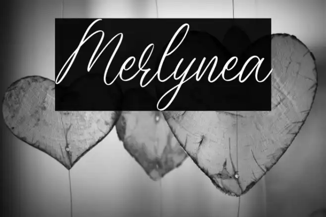 Merlynea Example 1