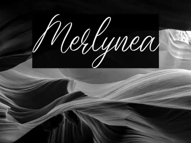 Merlynea Example 2