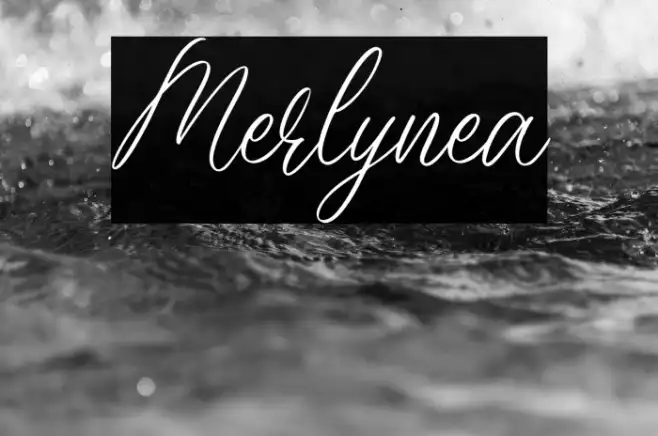 Merlynea Example 3
