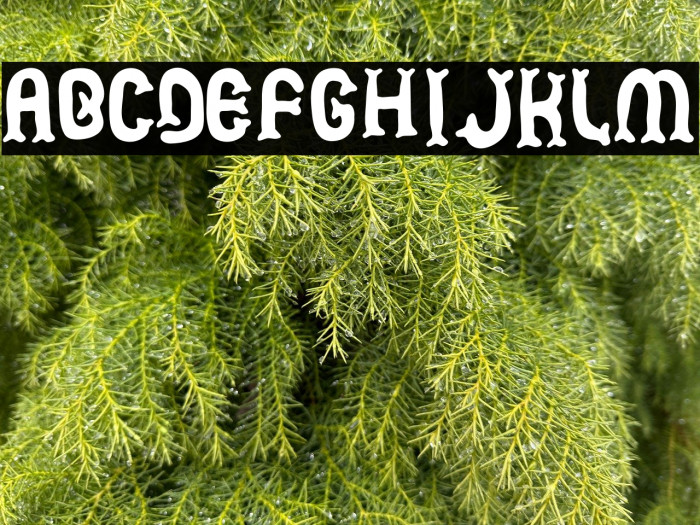 Mermaid Astramadea Example 2