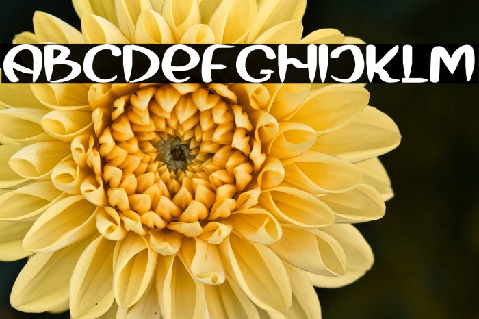 Mermaid Baby Example 2