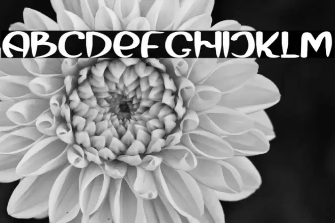 Mermaid Baby Font examples