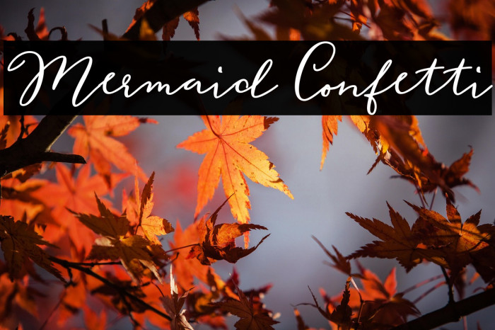 Mermaid Confetti Example 3