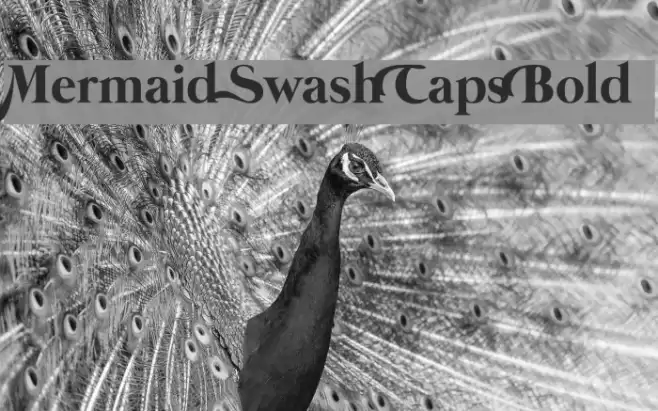 Mermaid Swash Caps Bold Font examples