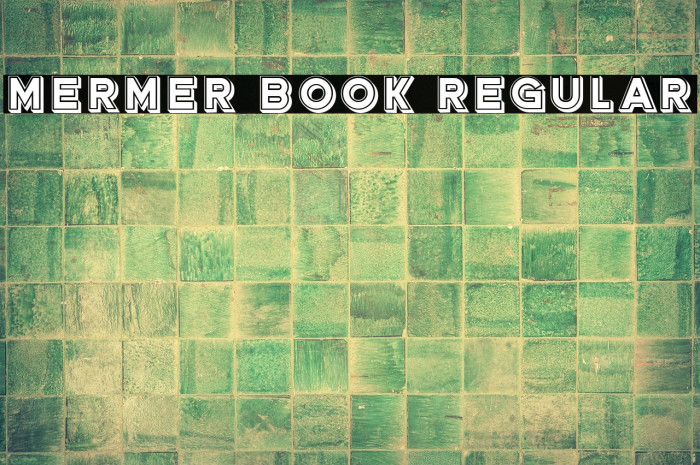 Mermer Book Regular Example 3