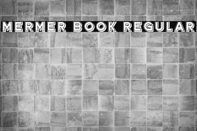 Mermer Book Regular Example 3