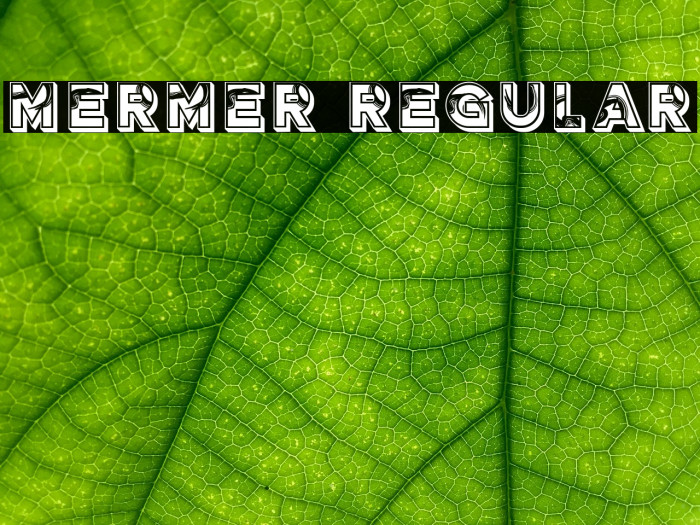 Mermer Regular Font examples