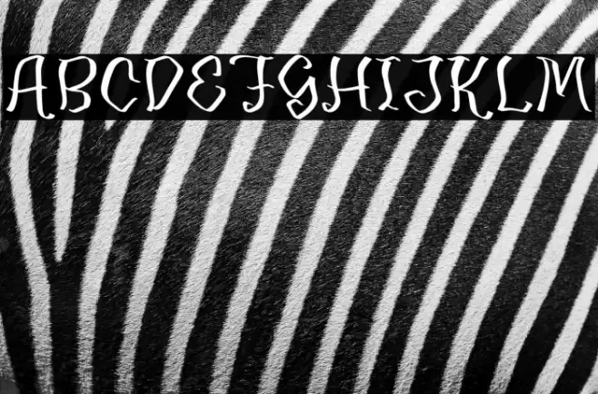 Merona Danger Fonte examples