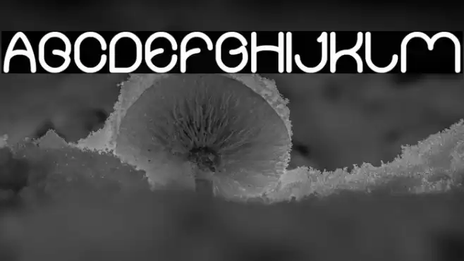 Merpati Putih Bold Font examples