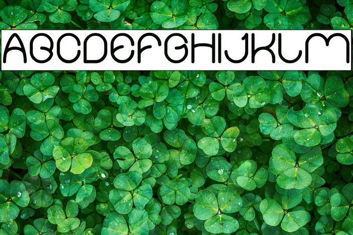 Merpati Putih-Inverse Example 3