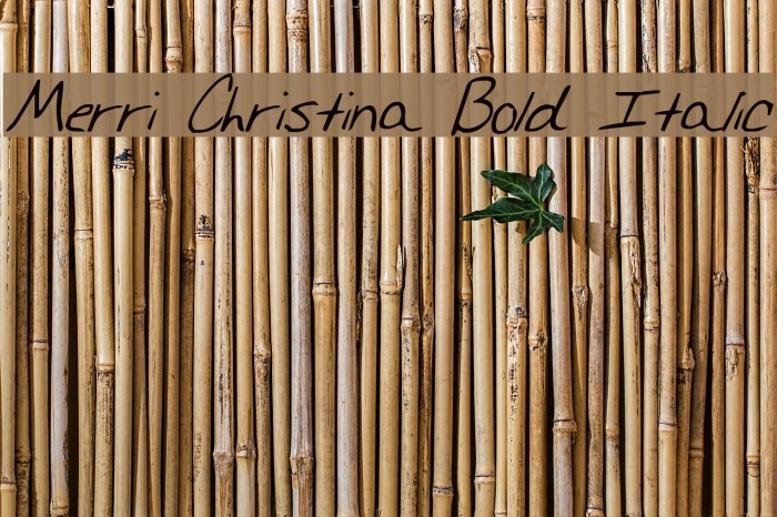 Merri Christina Bold Italic Font examples