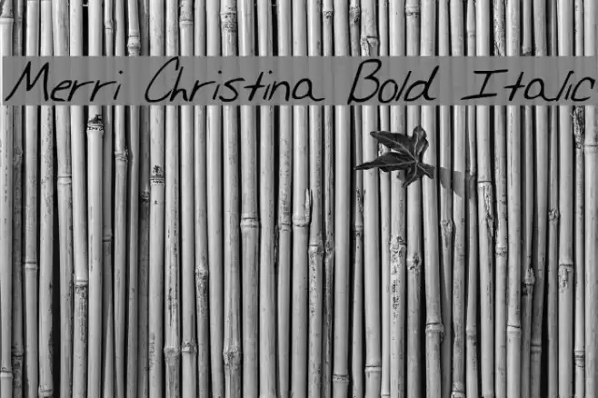 Merri Christina Bold Italic Font examples