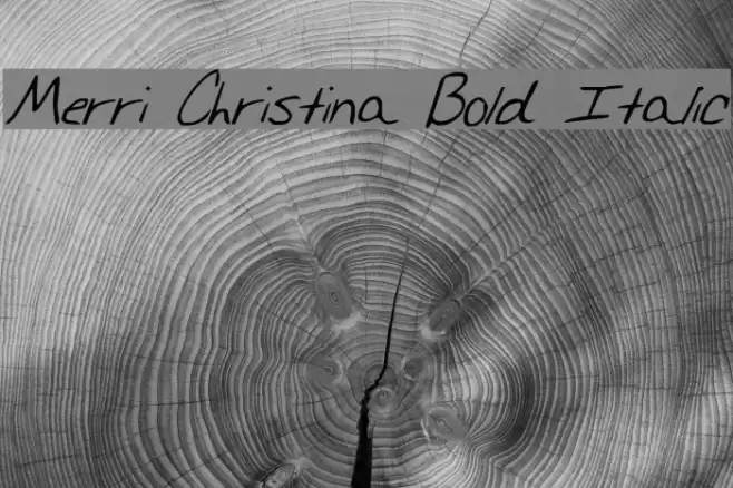 Merri Christina Bold Italic Font examples