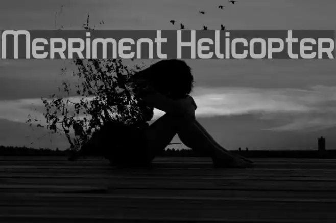 Merriment Helicopter Example 2