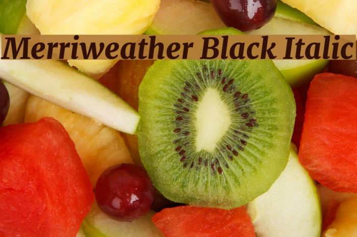 Merriweather Black Italic Font examples