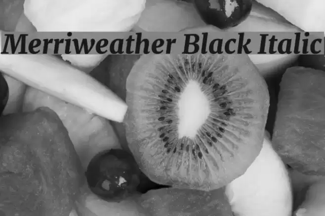 Merriweather Black Italic Font examples