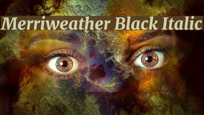 Merriweather Black Italic Font examples