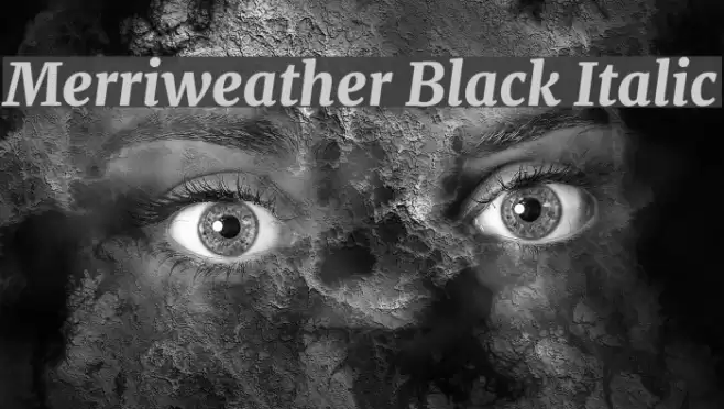 Merriweather Black Italic Font examples