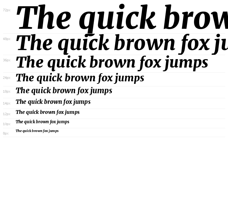 Merriweather Black Italic Waterfall