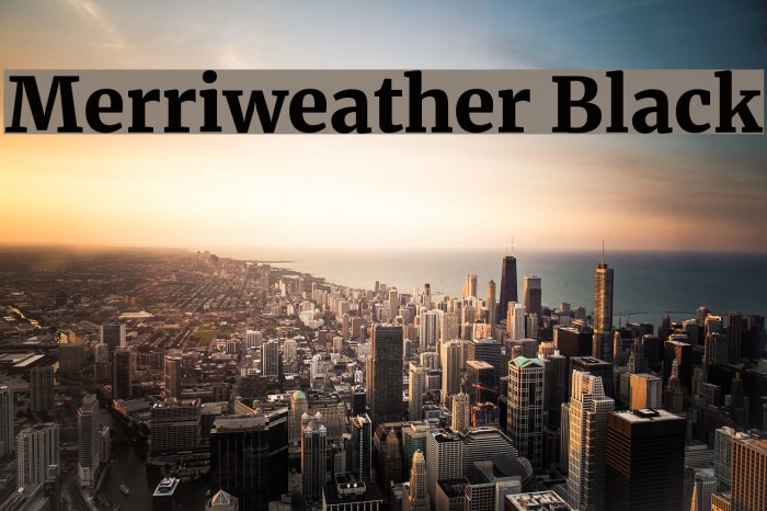 Merriweather Black Font examples