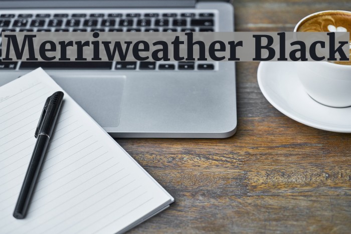Merriweather Black Font examples