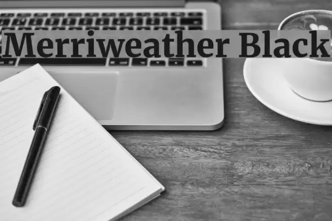 Merriweather Black examples