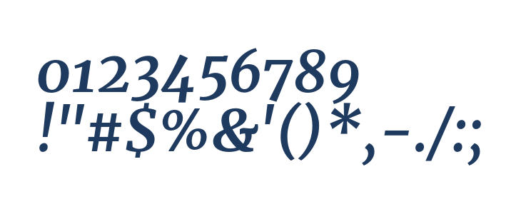 Merriweather Bold Italic1 Other Characters