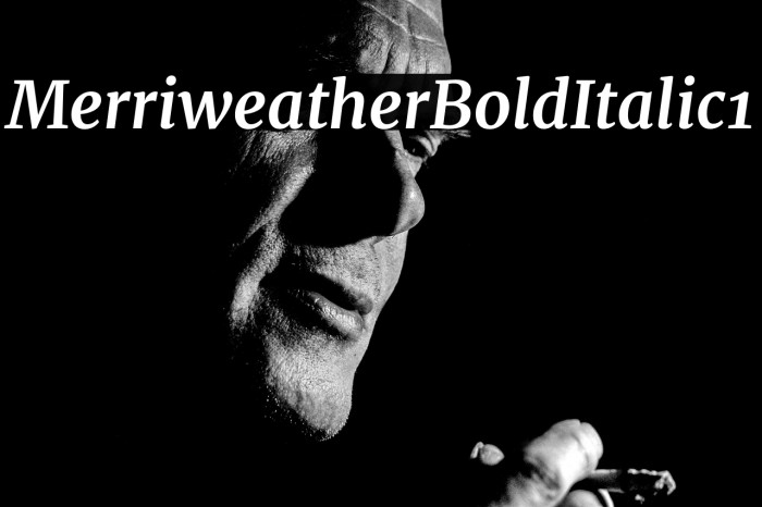 Merriweather Bold Italic1 Example 1