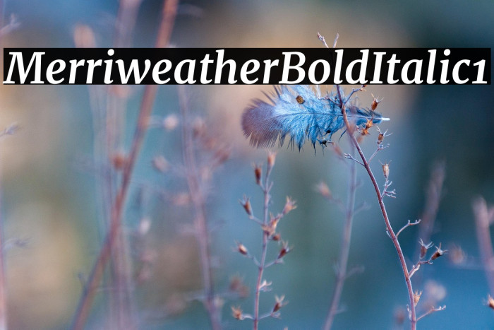 Merriweather Bold Italic1 Example 2