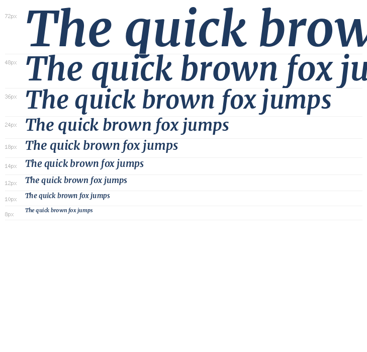 Merriweather Bold Italic1 Waterfall