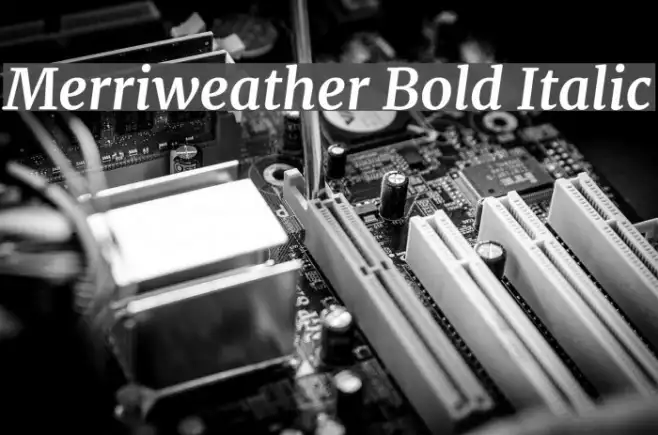 Merriweather Bold Italic Example 2