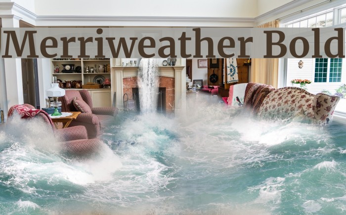 Merriweather Bold Font examples