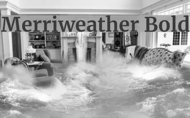 Merriweather Bold Example 1