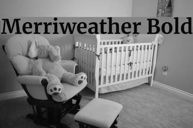 Merriweather Bold Example 2
