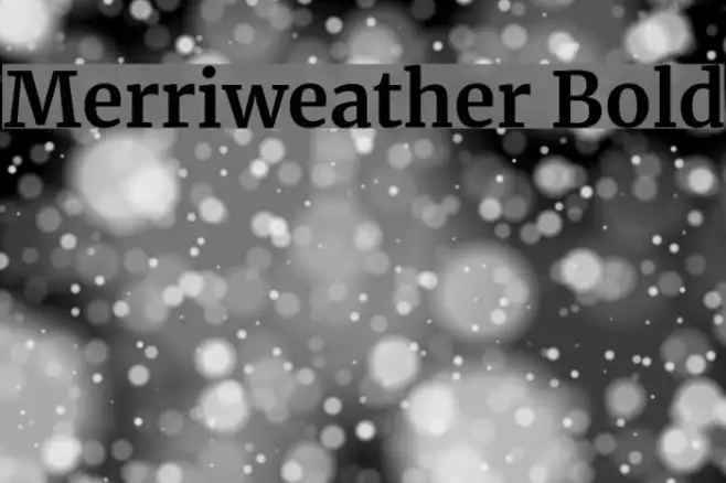Merriweather Bold Example 3