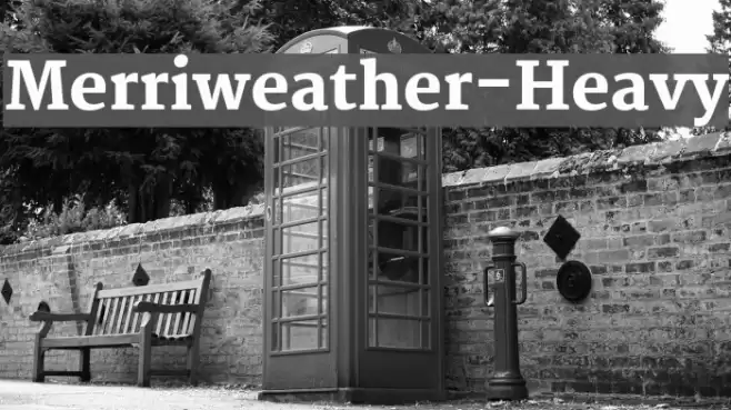 Merriweather-Heavy Fonte examples