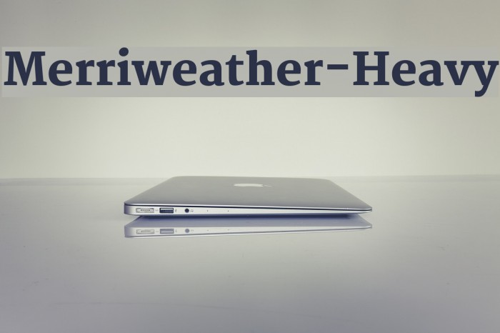 Merriweather-Heavy Fonte examples