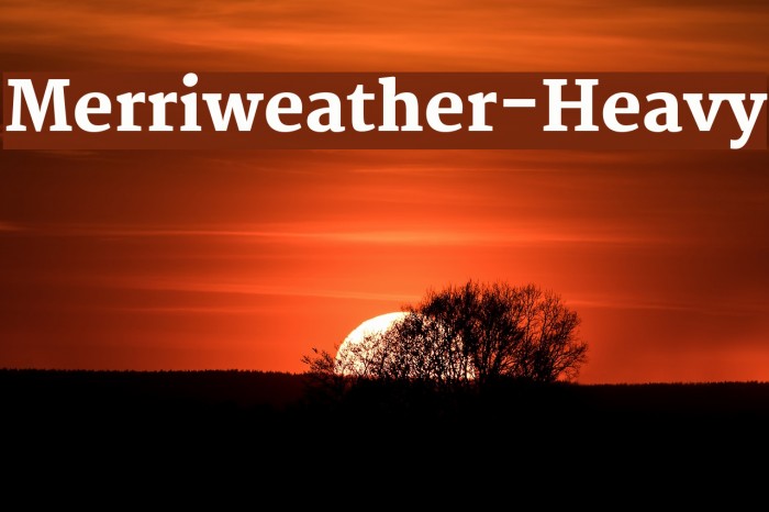 Merriweather-Heavy Fonte examples