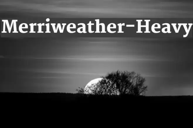 Merriweather-Heavy Fonte examples