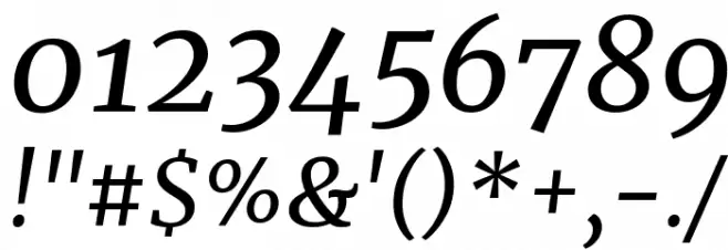 Merriweather Italic Font OTHER CHARS