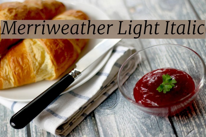 Merriweather Light Italic Font examples