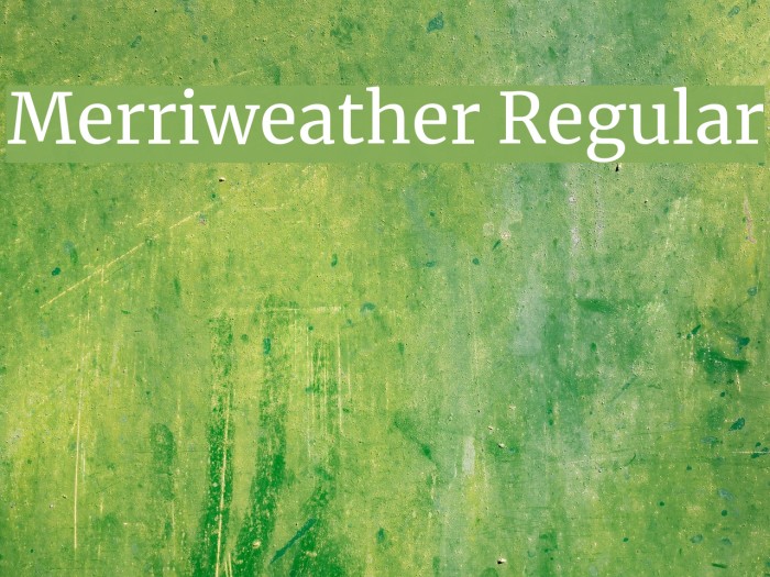 Merriweather Regular Font examples