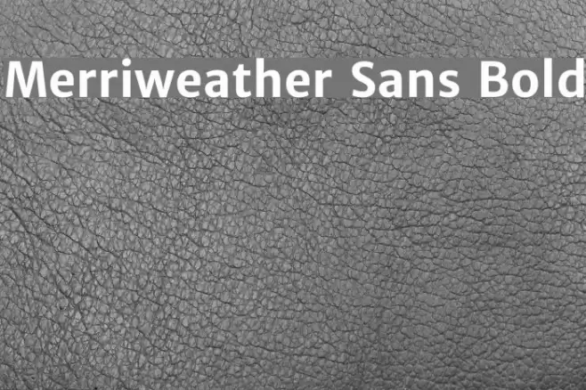 Merriweather Sans Bold Font examples