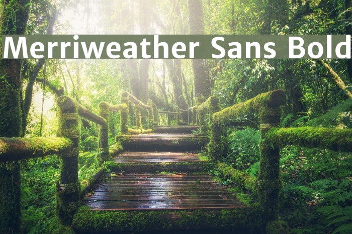 Merriweather Sans Bold Font examples