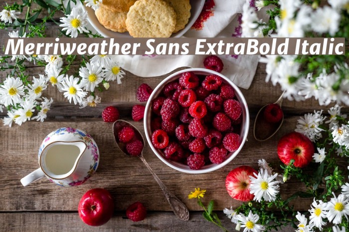 Merriweather Sans ExtraBold Italic Font examples