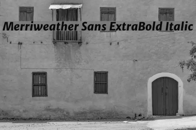 Merriweather Sans ExtraBold Italic Font examples