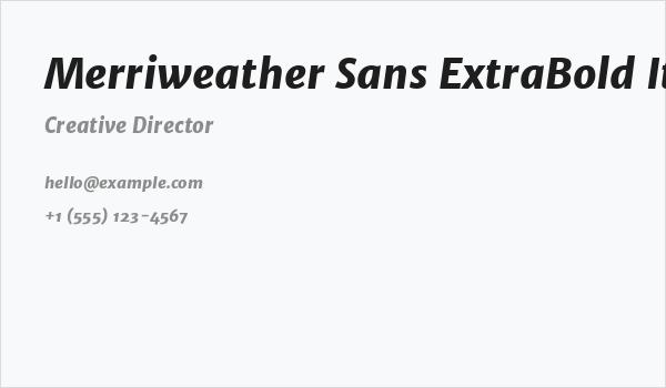 Merriweather Sans ExtraBold Italic Business Card